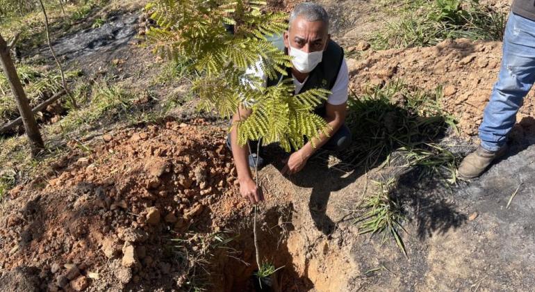 Área atingida por Queimadas, na Regional Pampulha, Ganhará 615 novas Árvores