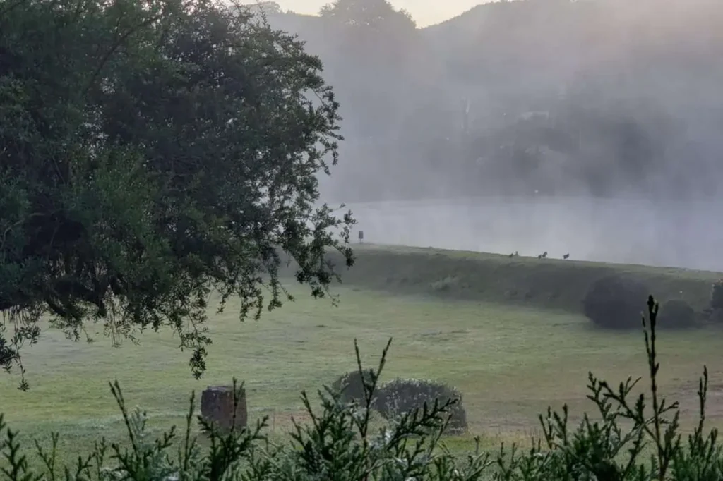 Minas tem previsão de frio intenso na próxima semana, Confira!