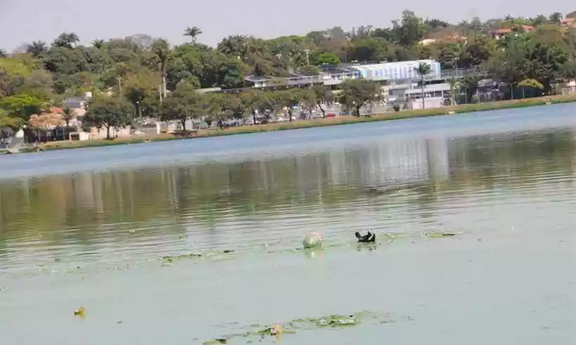 Lagoa da Pampulha limpa é dever público e da população, dizem Visitantes!