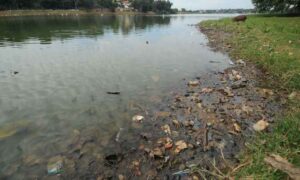 Lagoa da Pampulha: Copasa terá cinco anos para acabar com esgoto, diz justiça!