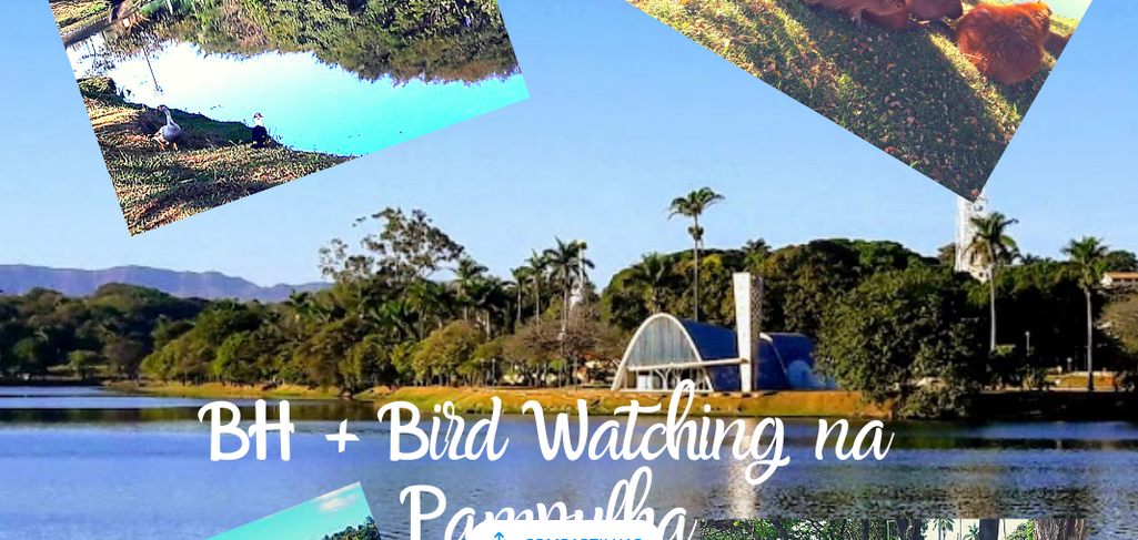 BH + Bird Watching Pampulha 01 dia