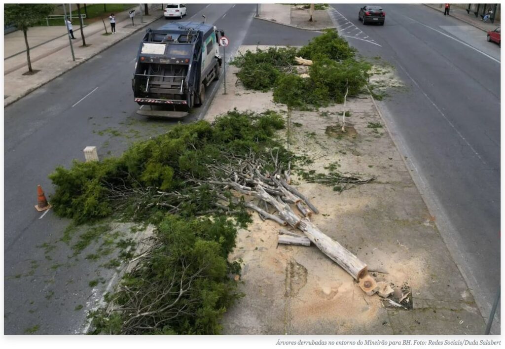 Árvores derrubadas no entorno do Mineirão para BH. Foto das Redes Sociais da Duda Salabert
