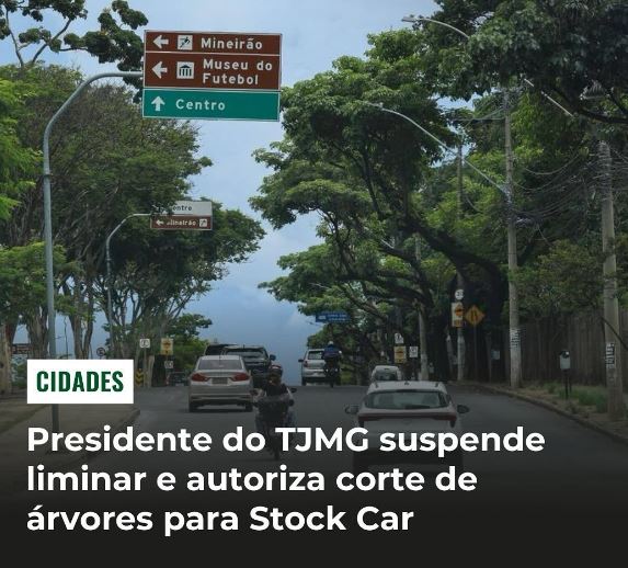 Presidente do TJMG suspende liminar e autoriza corte de árvores para Stock Car