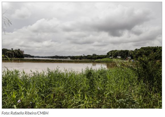 Investigação questiona Prefeitura sobre plantio de árvores na orla da Lagoa da Pampulha