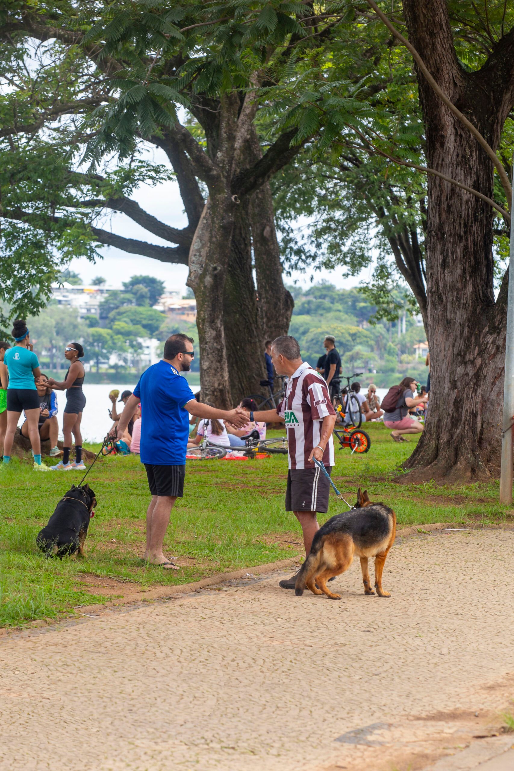 Lagoa4