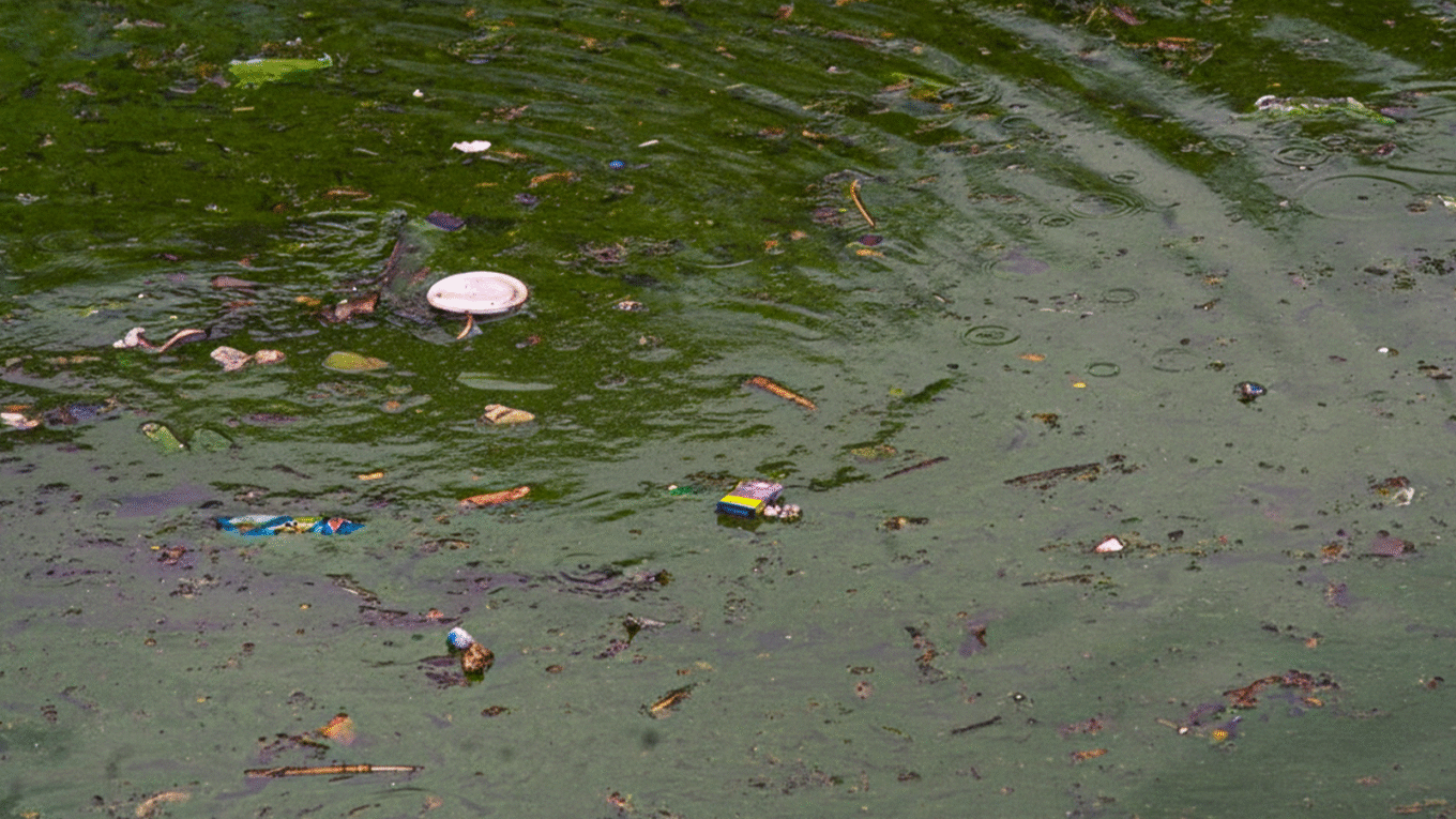Contaminação elevada na Lagoa da Pampulha acende alerta em auditoria independente